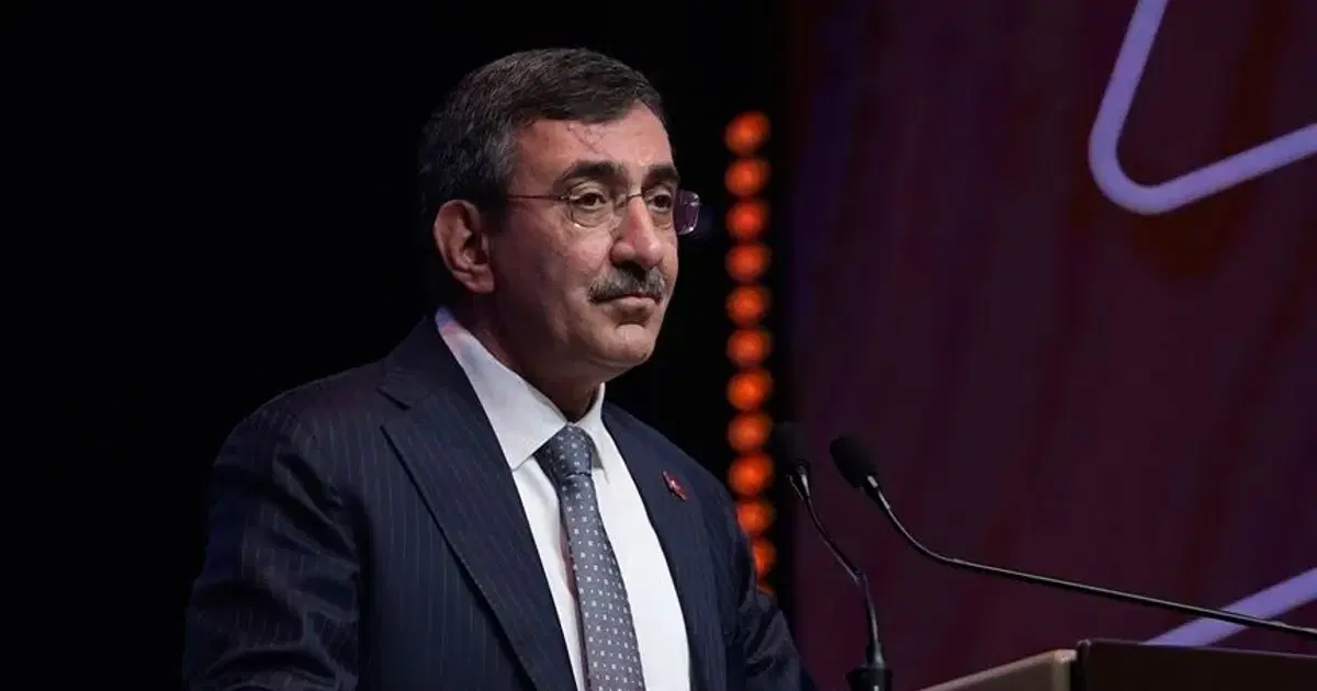 Cumhurbaşkanı Yardımcısı Yılmaz'dan fon açıklaması