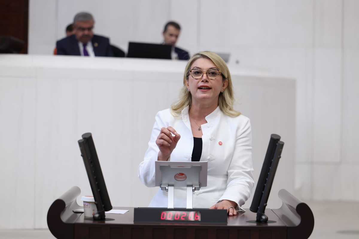 YENİ Parti'li Asu Kaya, kadınlara devlet ödemeli emeklilik ve her köye kreş vaat etti