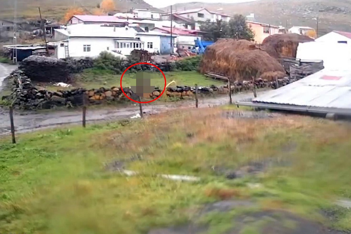 Türkiye'nin diğer ucundan güpegündüz dehşete düşüren görüntü