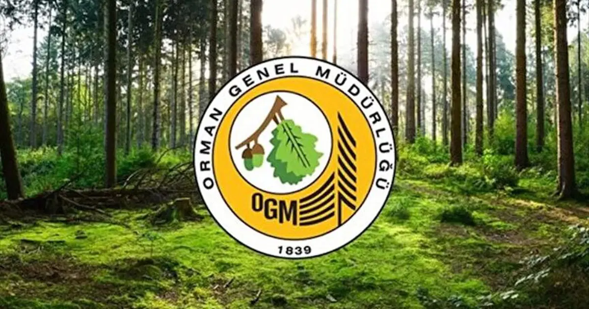 Resmi Gazete'de yayımlandı. OGM müfettiş yardımcısı alacak