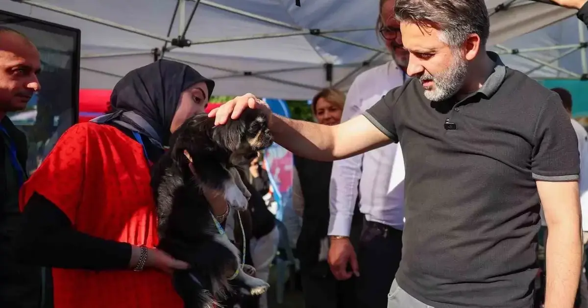 Büyükşehir’den can dostları için yuva seferberliği