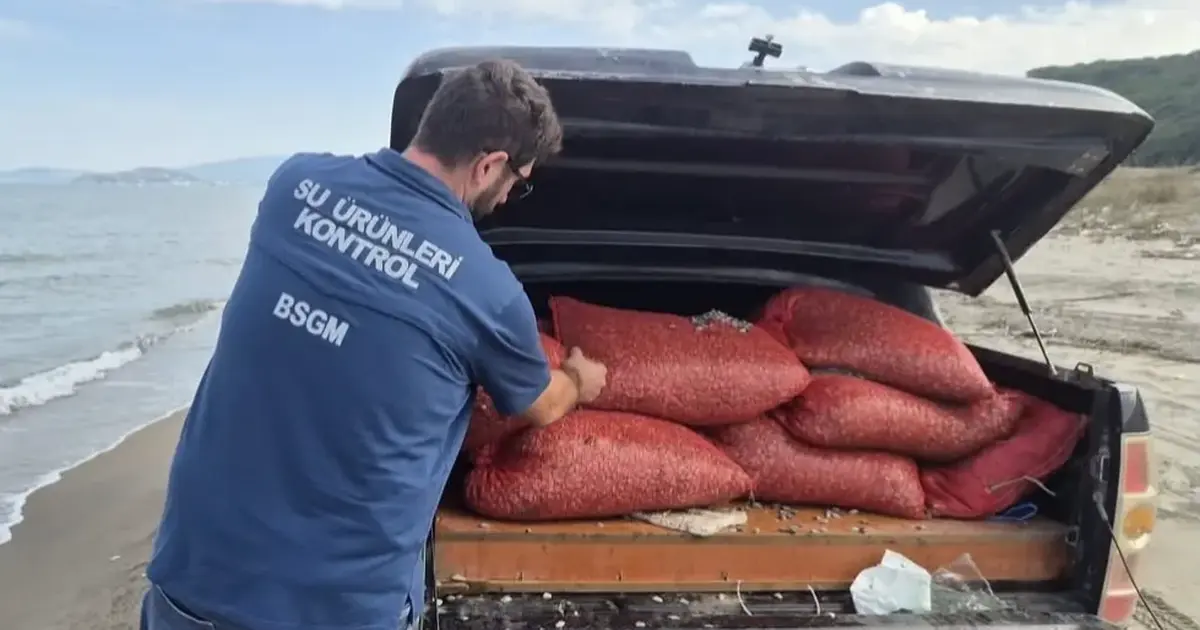 Bursa’da kaçak avcılığa geçit yok: 2 ton 760 kilo kum şırlanı doğaya bırakıldı