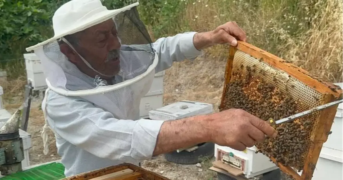 50 yıllık arıcı emekli başgardiyan 20 yıldır Avrupa'ya bal gönderiyor
