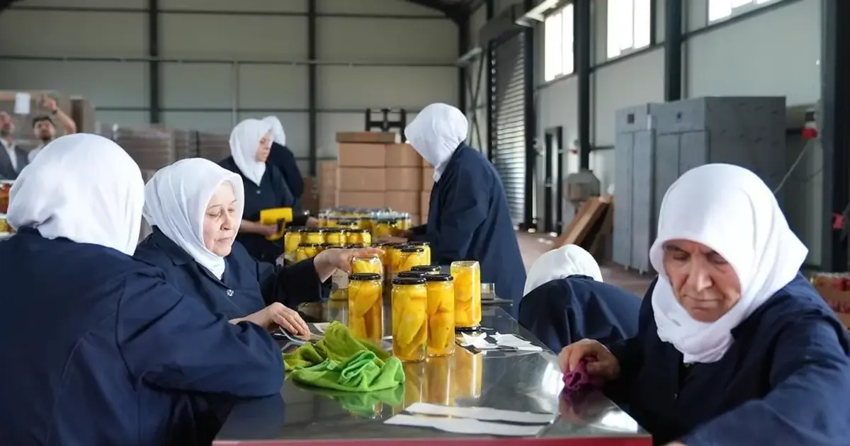 Gürsu Ovası'na kadın eli değdi