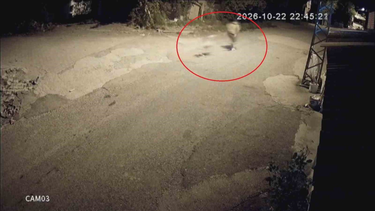 Dörtyol'da golden köpek Tomi'yi tasma takarak çaldılar: O anlar güvenlik kamerasında