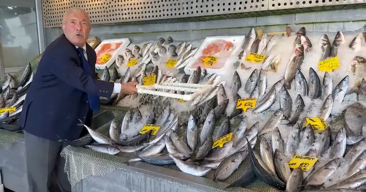 Sezon bereketli başladı, denizden bol bol balık çıkıyor. Palamut 200 liradan kapışılıyor