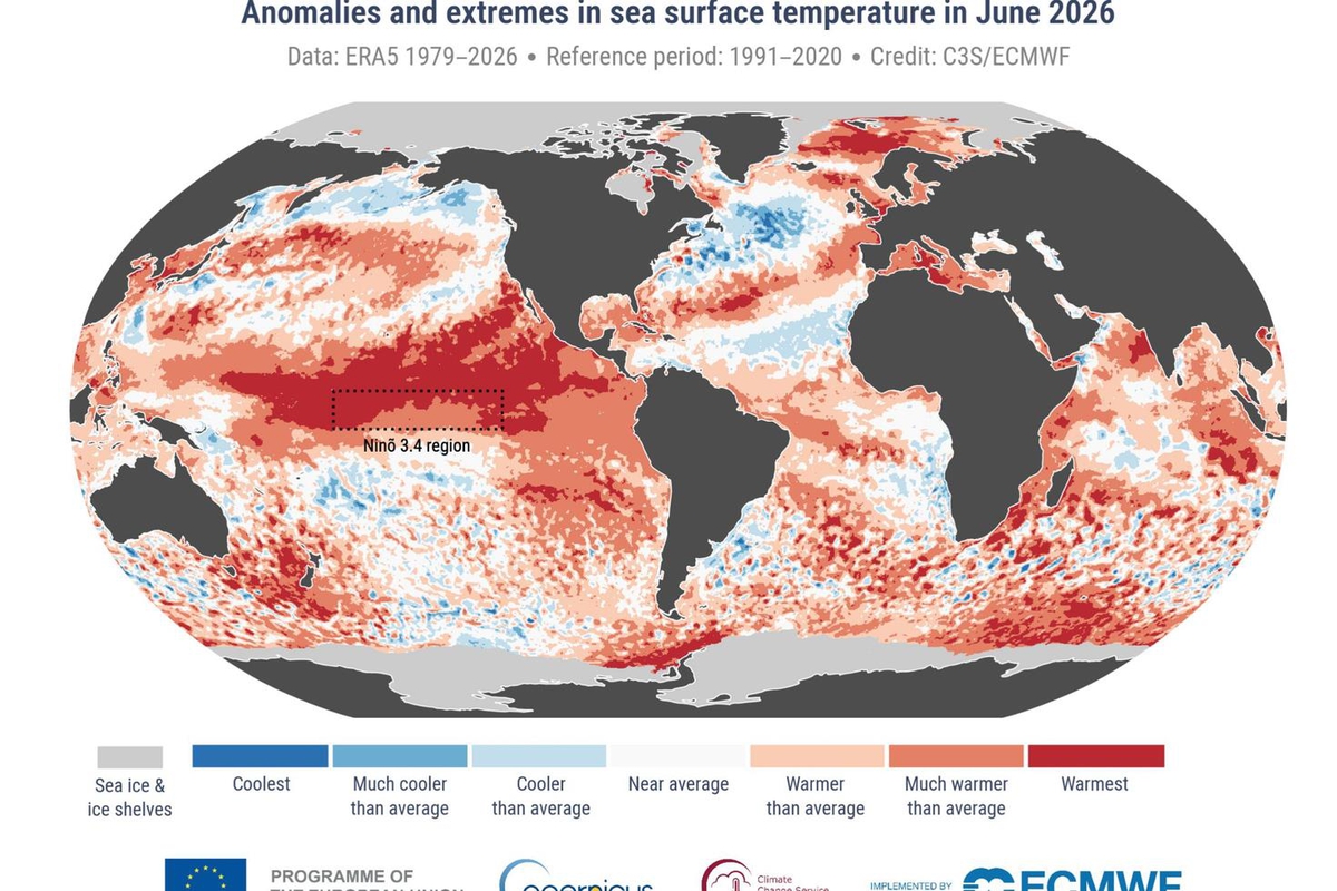 Chicago Üniversitesi'ne göre süper El Nino Şubat 2027'ye kadar 451 bin ölüme yol açabilir