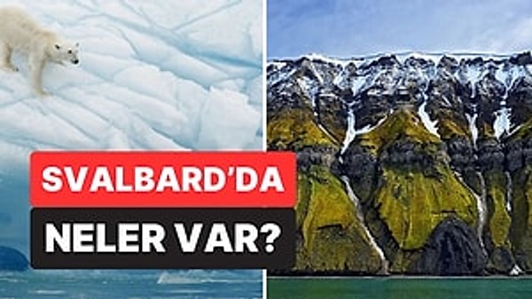 Spitsbergen Antlaşması yürürlüğe girdi.