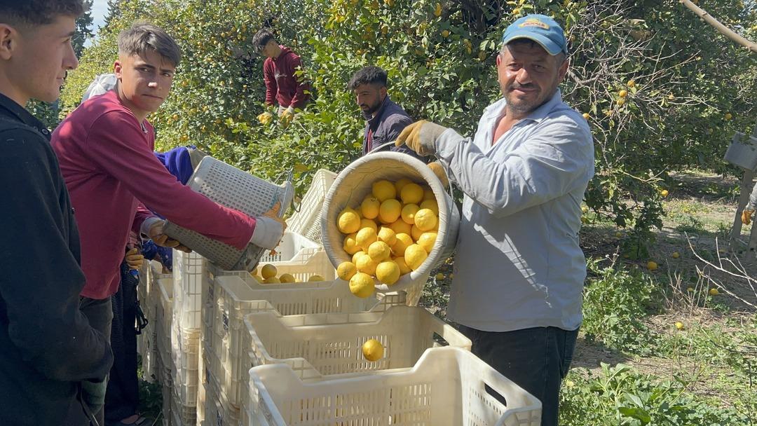 Çiftçi Kadir Türkmen