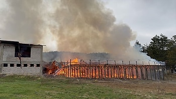 İhbar üzerine olay yerine itfaiye, sağlık ve jandarma ekipleri sevk edildi. Yangına müdahale için Bolu, Yeniçağa ve Gerede ilçesinden takviye ekipler de olay yerine gönderildi.