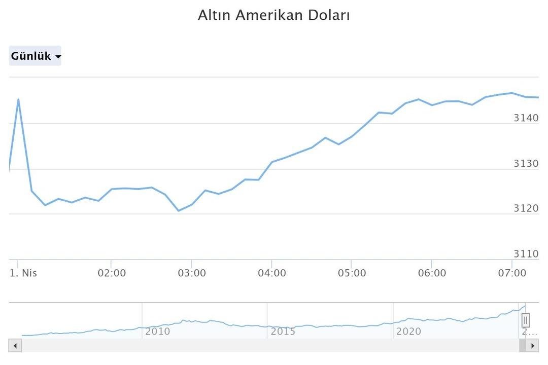 altn-amerikan-dolar (15)