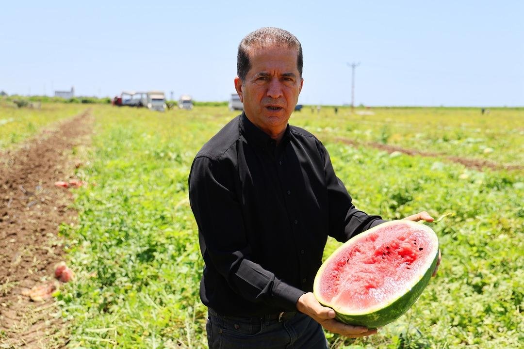 Karpuz Hasadı Yüreğir