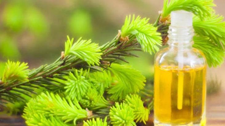 Yazın ter kokmaktan korkmayın Tek damlası deodoranttan daha etkili, kokuyu hapsediyor