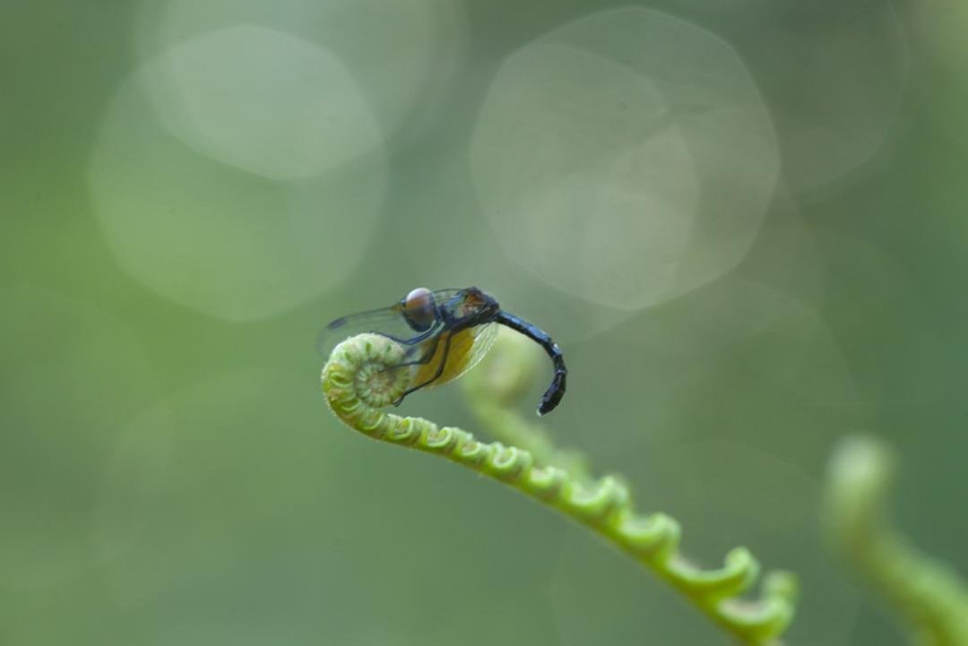 iStock-1491649283