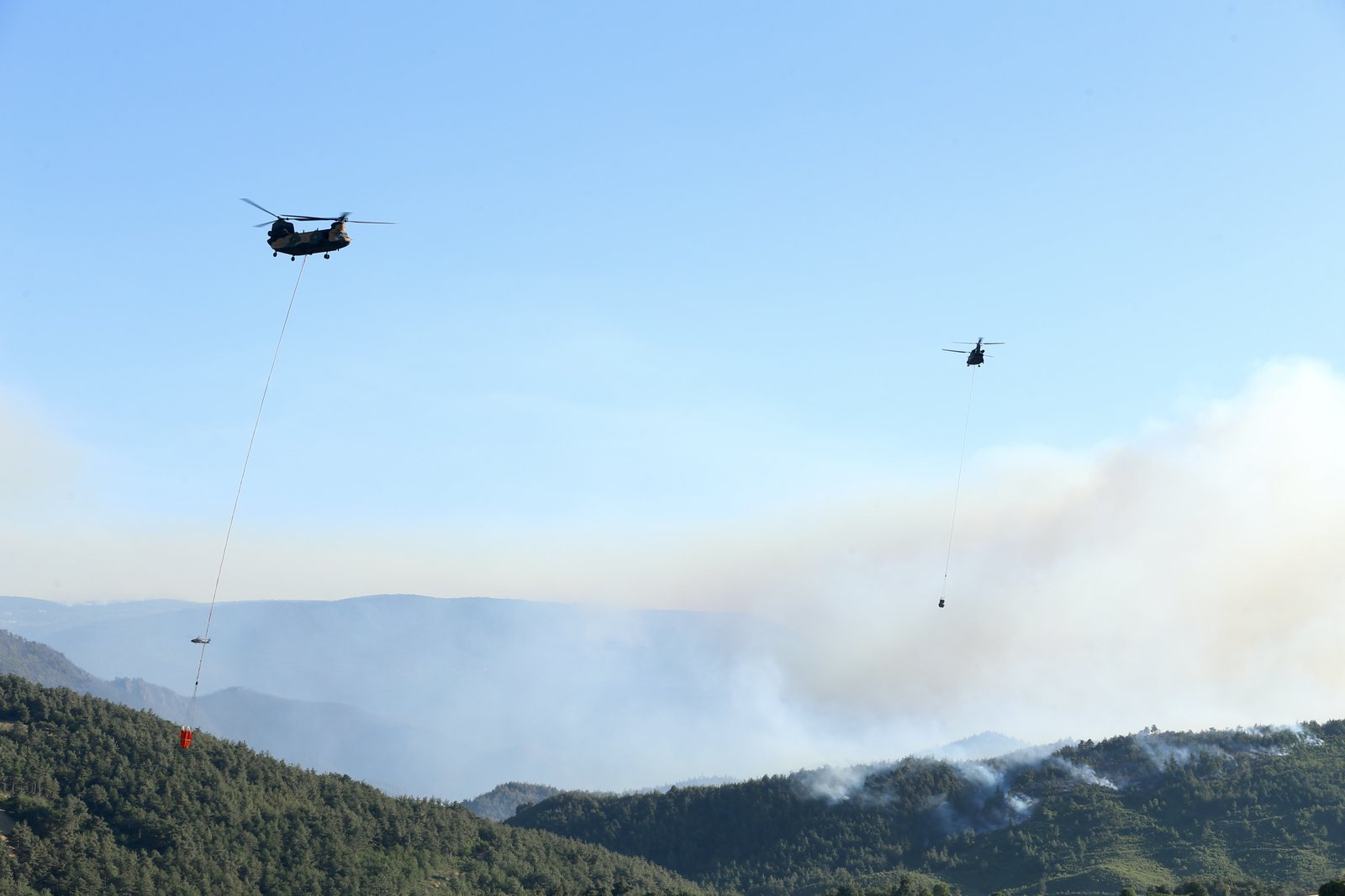 sakarya yangını