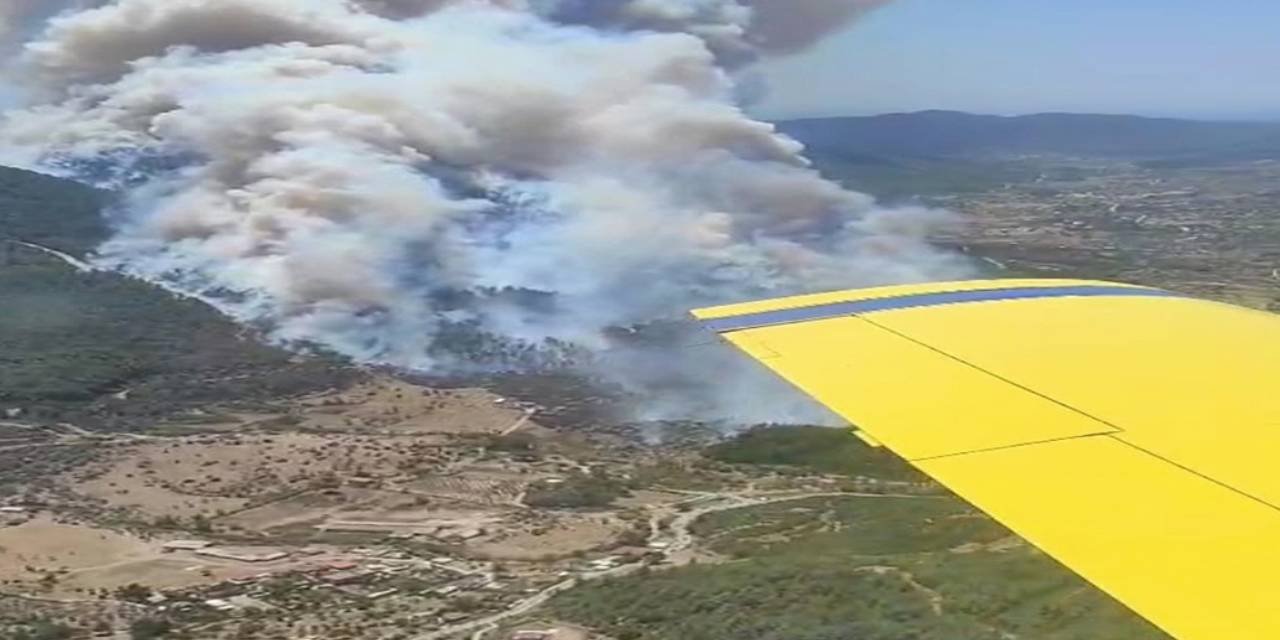 İzmir'de de ormanlık alanlar alevlere teslim oldu!