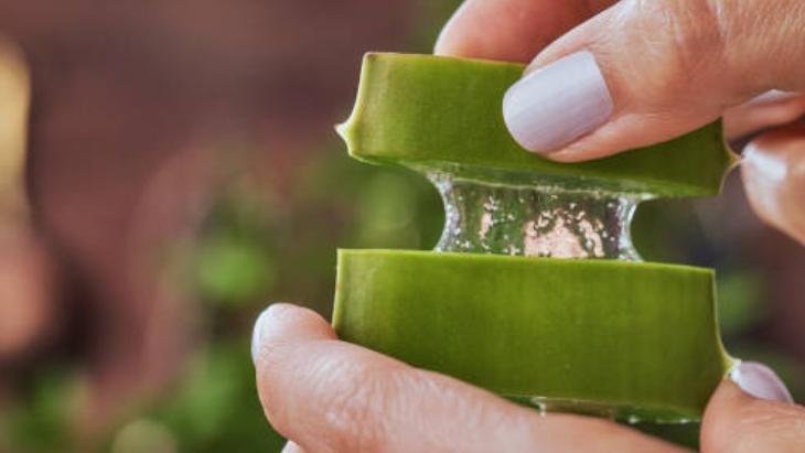 ALOE VERA JELİ