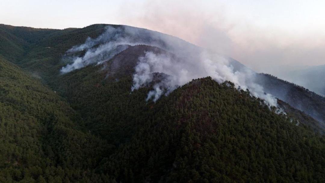 Sakarya, Bilecik, İzmir, Karabük, Eskişehir orman yangını