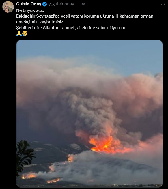 gulsin-onay.png