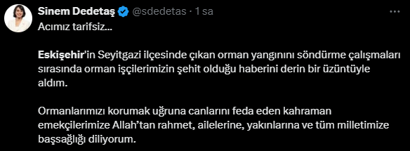 sinem-dedetas.png