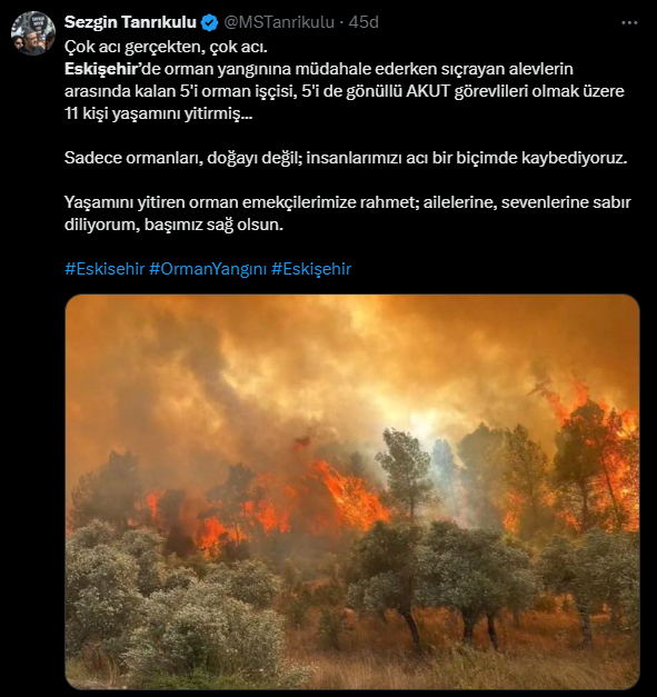 sezgin-tanrikulu.png