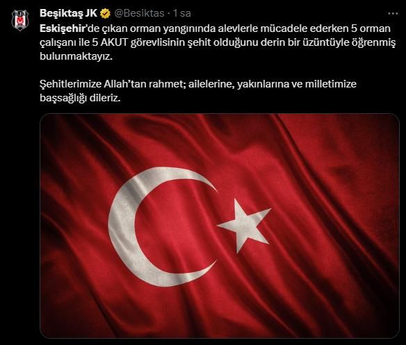besiktas.png
