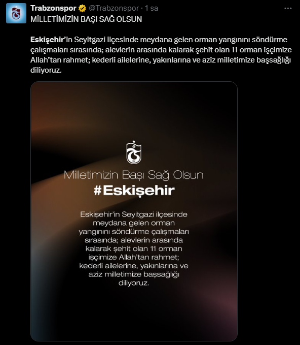 trabzonspor.png