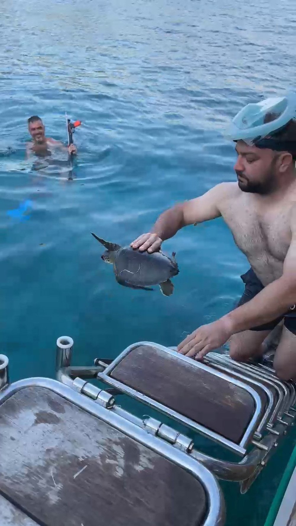cuvala-dolanan-caretta-carettayi-kurtard-834554-247324.jpg