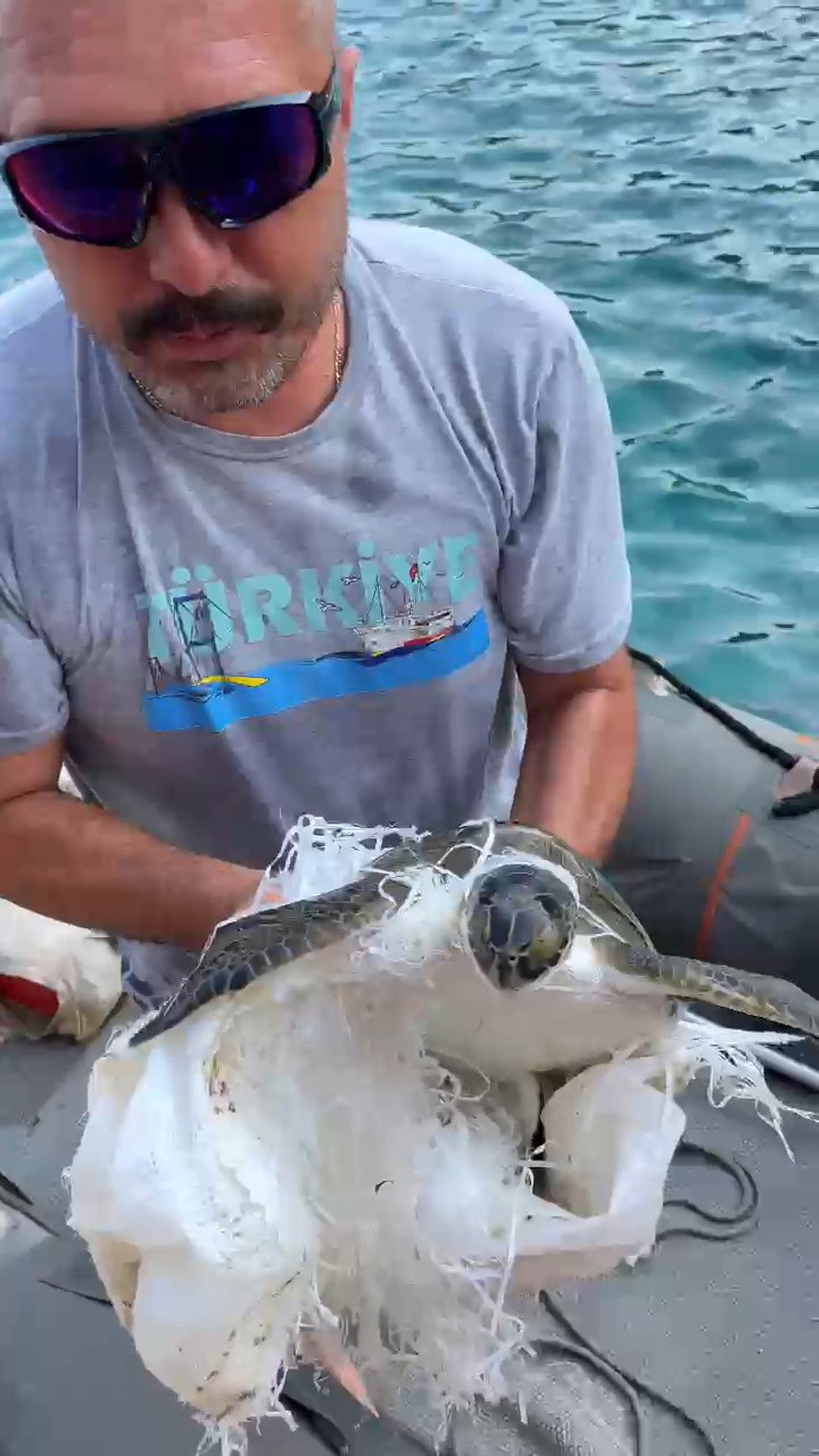 cuvala-dolanan-caretta-carettayi-kurtard-834551-247324.jpg