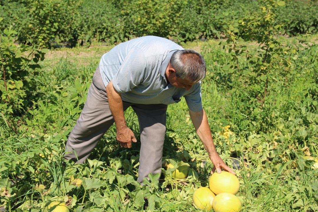 Dışını gören almıyor ama Tadını bilen bırakmaz 40 liradan satılıyor 4