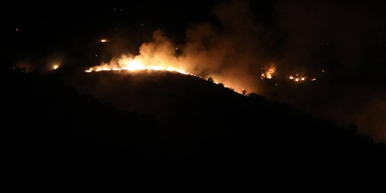 elazigdaki-yanginda-kilolarcasi-yandi-kokunun-kilosu-10-bin-liraya-satiliyor-9.jpg
