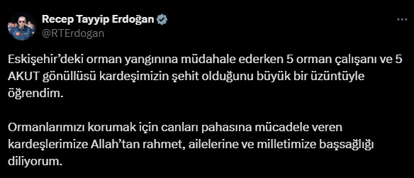 erdogan.png
