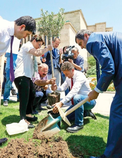 05-zeytin-agaci-xpk9.webp