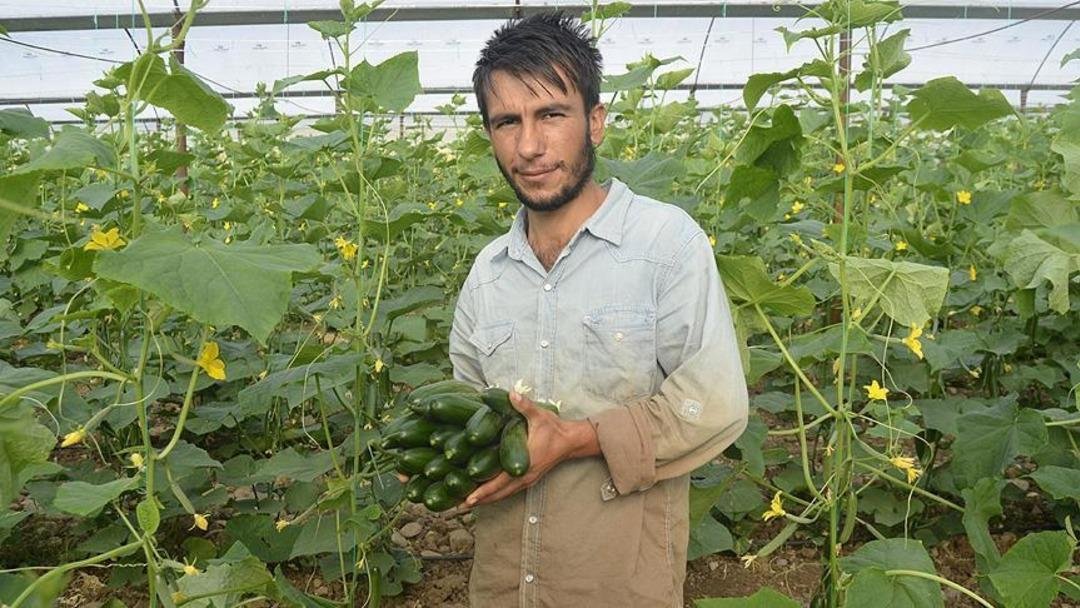 Evde oturan gençlere ev sahibi olma fırsatı! Köyüne dönüp çiftçi olana fırsatlar bitmiyor... 2