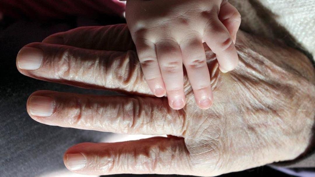 “Neden bir anda yaşlandım?” sorusunun bilimsel cevabı bulundu: 34, 60 ve 78’de büyük sıçrama! Sağlıklı yaşlanmak mümkün mü? 2