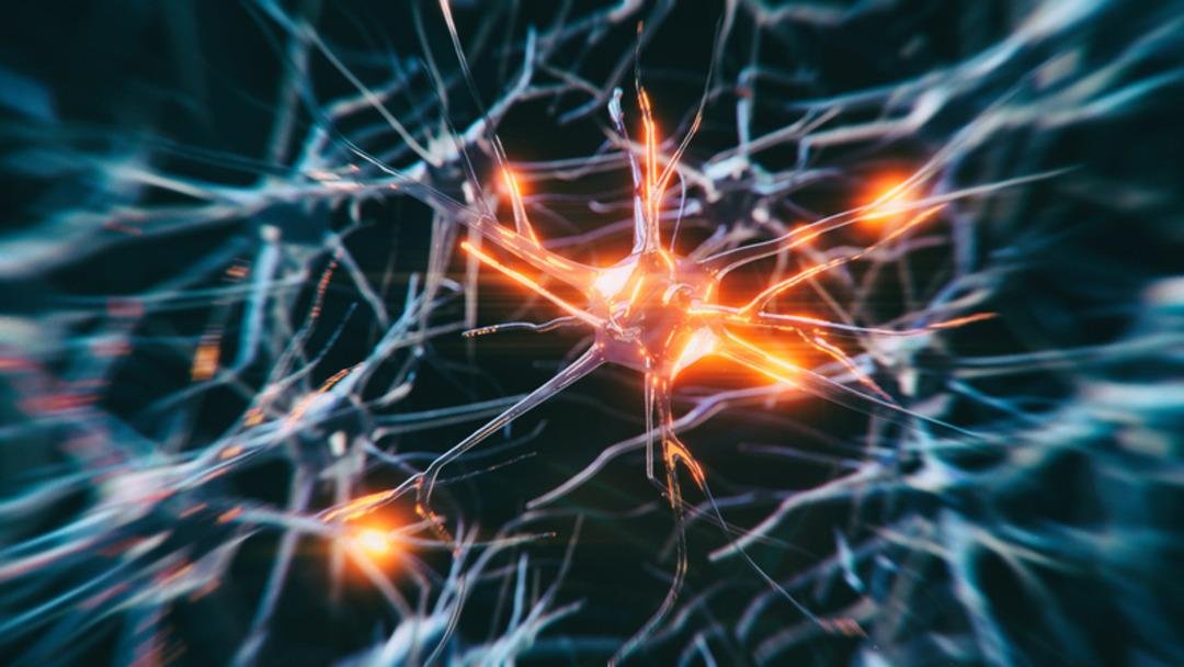 Harvard’dan çarpıcı yeni araştırma: Alzheimer tedavisine karşı yeni umut! Uzmanlar: 