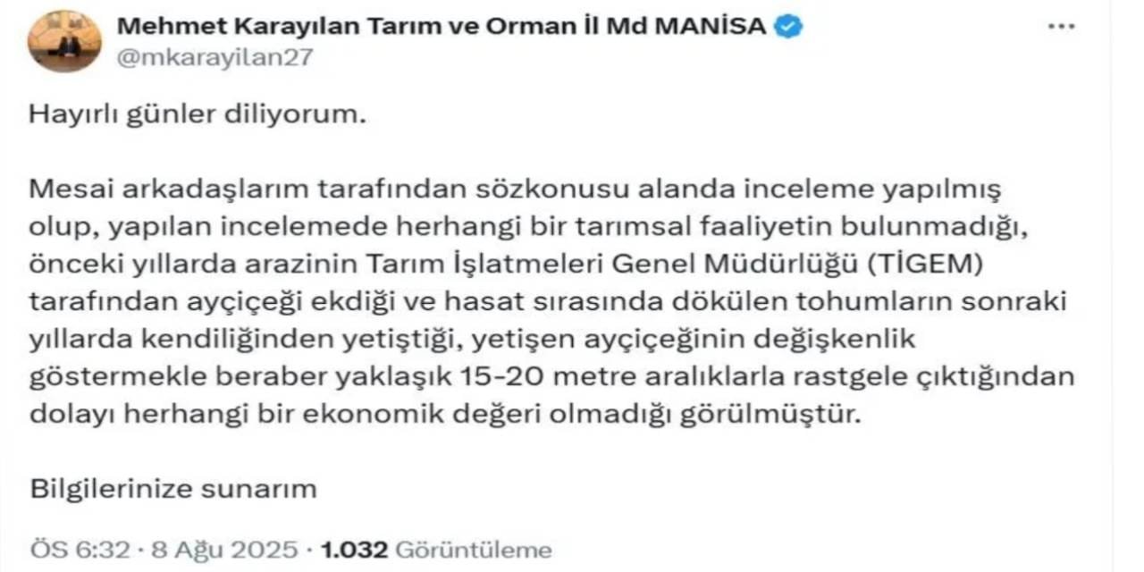 12-milyon-liralik-aycicegi-yok-edildi-ciftci-parasini-devlet-alsin-dese-de-kar-etmedi-2.jpg