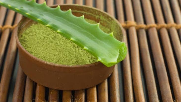ALOE VERA YAPRAKLARININ TOZ HALİNE GETİRİLMESİ