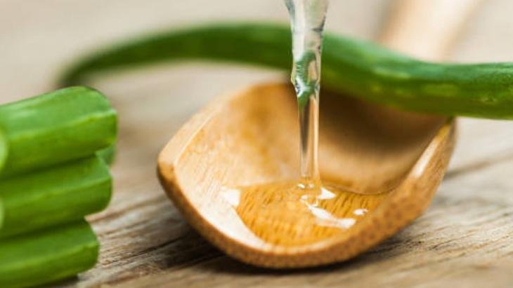 Jeli değil, tozu da şifaymış Ne egzama ne mantar kalıyor, aloe veralı mucize