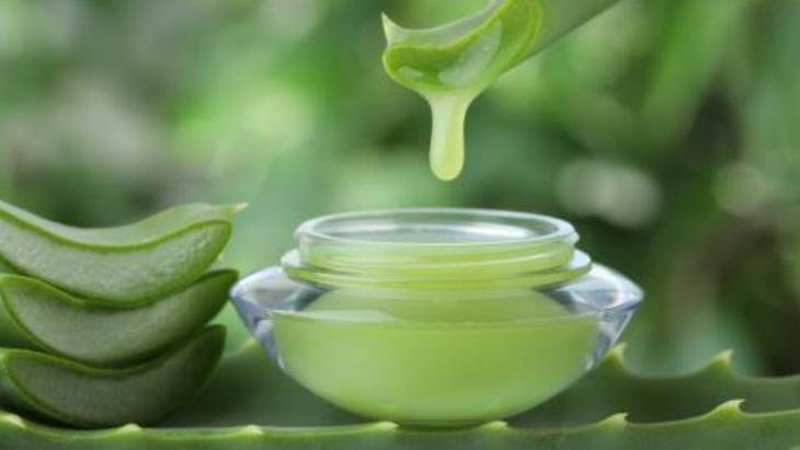Jeli değil, tozu da şifa Ne egzama ne mantar kalıyor, aloe veralı mucize