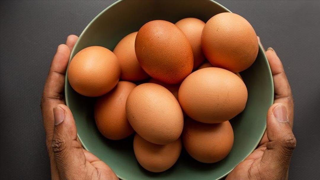 Salgın alarmı verildi: Yumurta 95 kişiyi zehirledi! O bölgede alarm verildi…  2