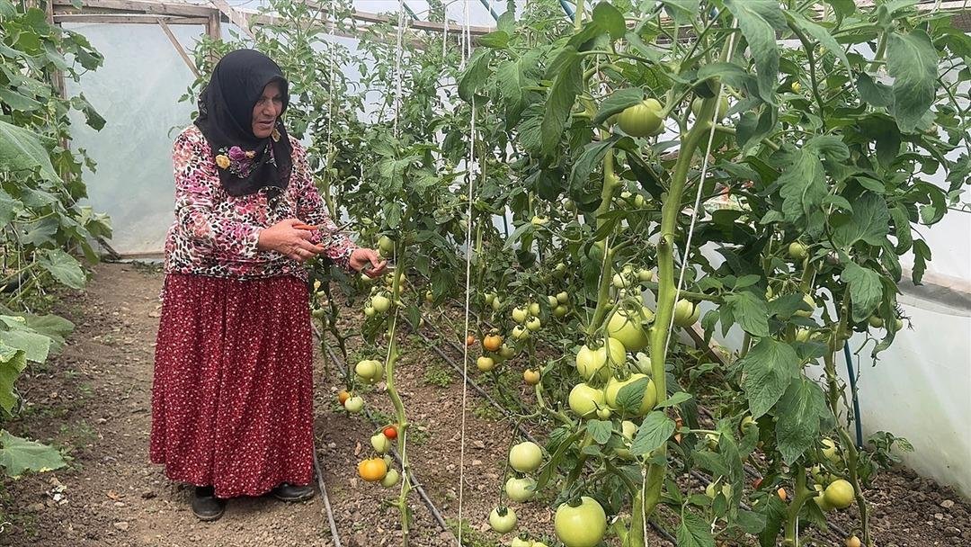 Hanemize gelir olsun istedik, oldu  Artık kendi işinin patronu 4