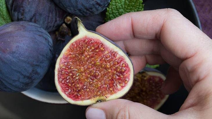 Cildi baştan aşağıya onarıyor Bal ve yoğurt ile karıştırıldığında iksir etkisi yaratıyor