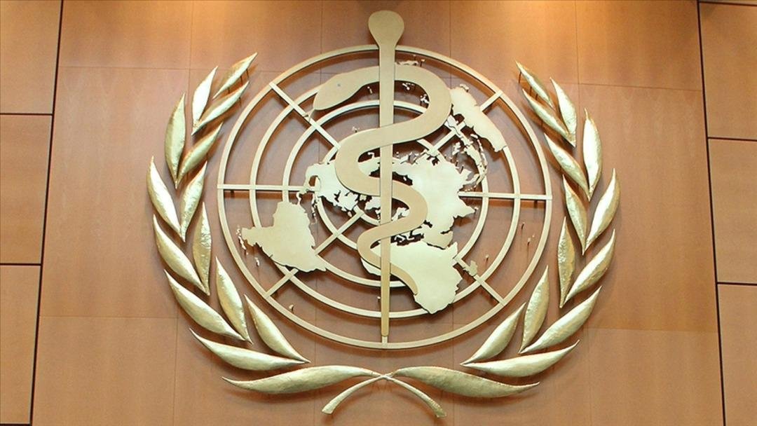  Milyonlarca insanın hayatını etkiliyor iddiası: Dünya Sağlık Örgütü’nden gıda, tütün ve alkol şirketlerine sert suçlama 4