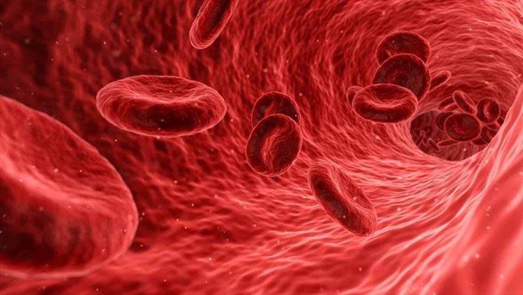 Her 5 ölümden 1 inin sebebi: Sepsis! Kan zehirlenmesi nedir? 3