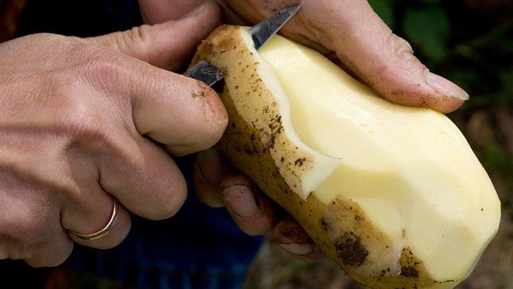 Göz altı morluklarına birebir Yeşillenmiş patateslere dikkat
