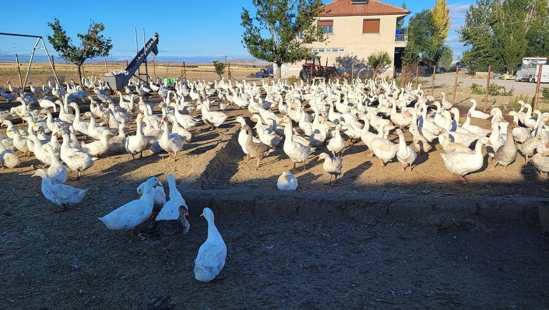 5 ten 850 ye çıkardı!  Sanıldığı kadar zor değil  2 yıl ara verip tekrar başladı 3