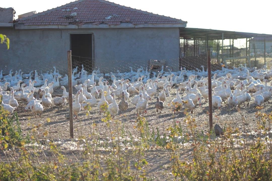 5 ten 850 ye çıkardı!  Sanıldığı kadar zor değil  2 yıl ara verip tekrar başladı 5
