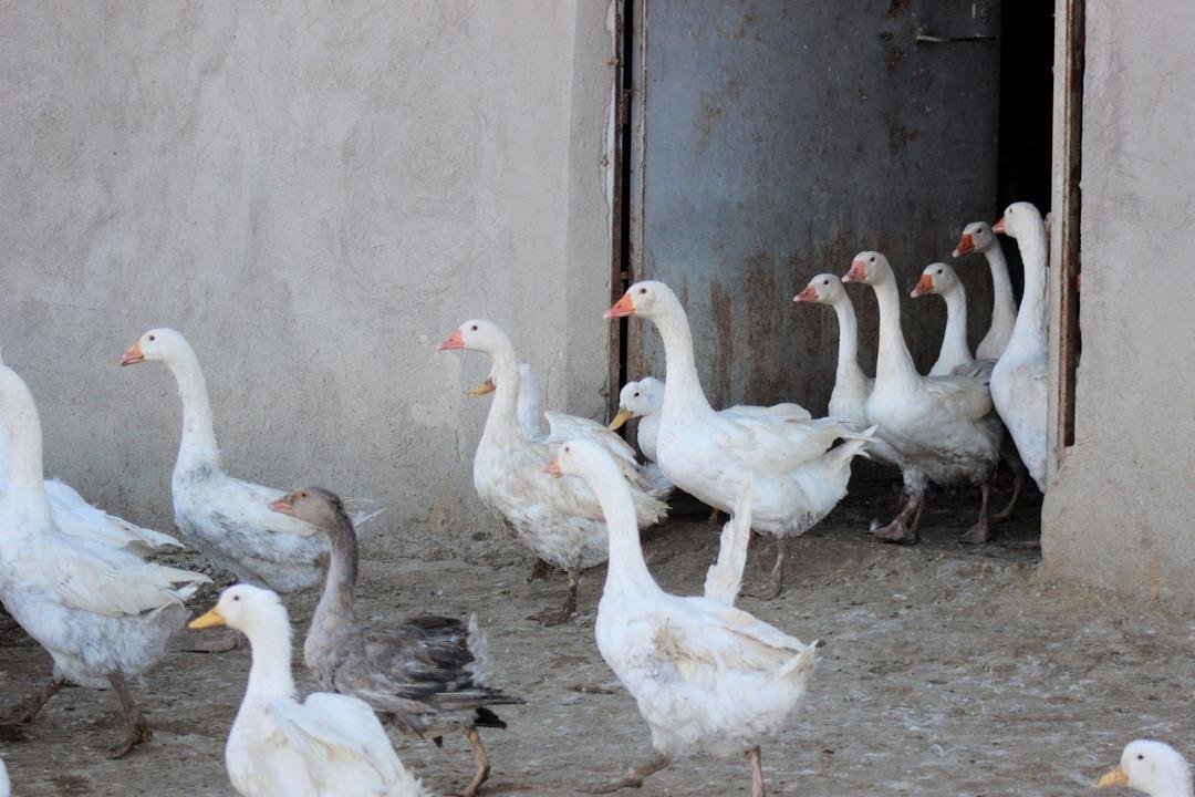 5 ten 850 ye çıkardı!  Sanıldığı kadar zor değil  2 yıl ara verip tekrar başladı 6