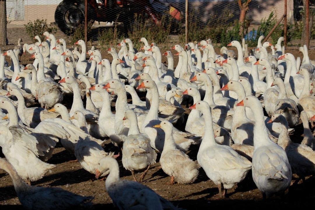 5 ten 850 ye çıkardı!  Sanıldığı kadar zor değil  2 yıl ara verip tekrar başladı 2
